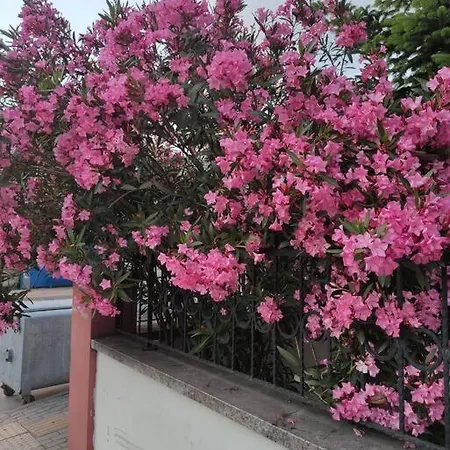 Three-room Apartment, 50 Meters From The Beach Daire *